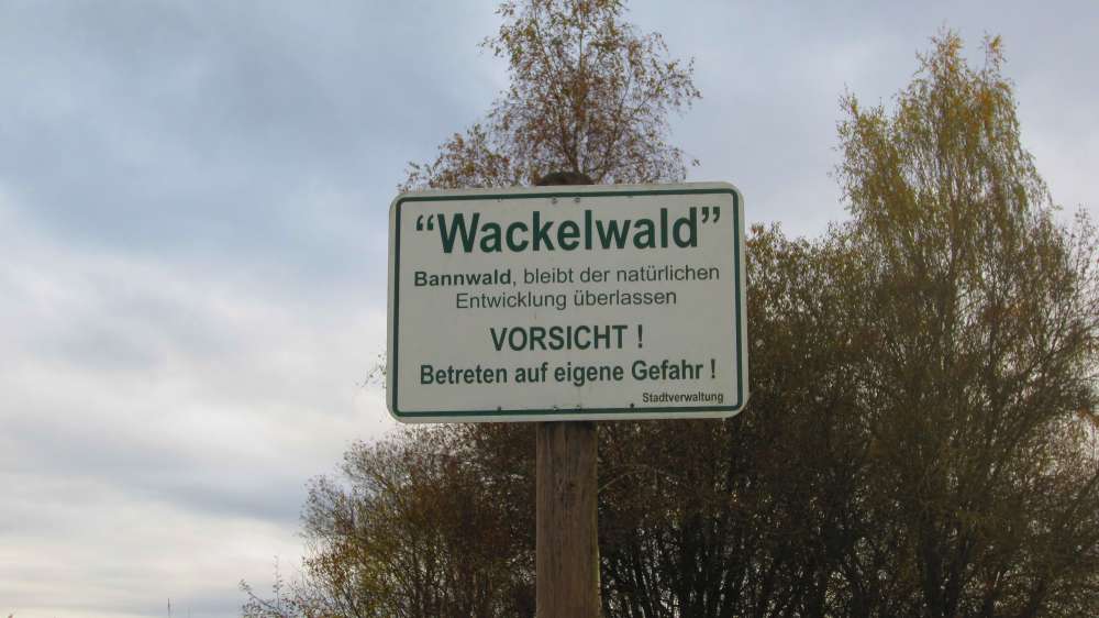 Wackelwald