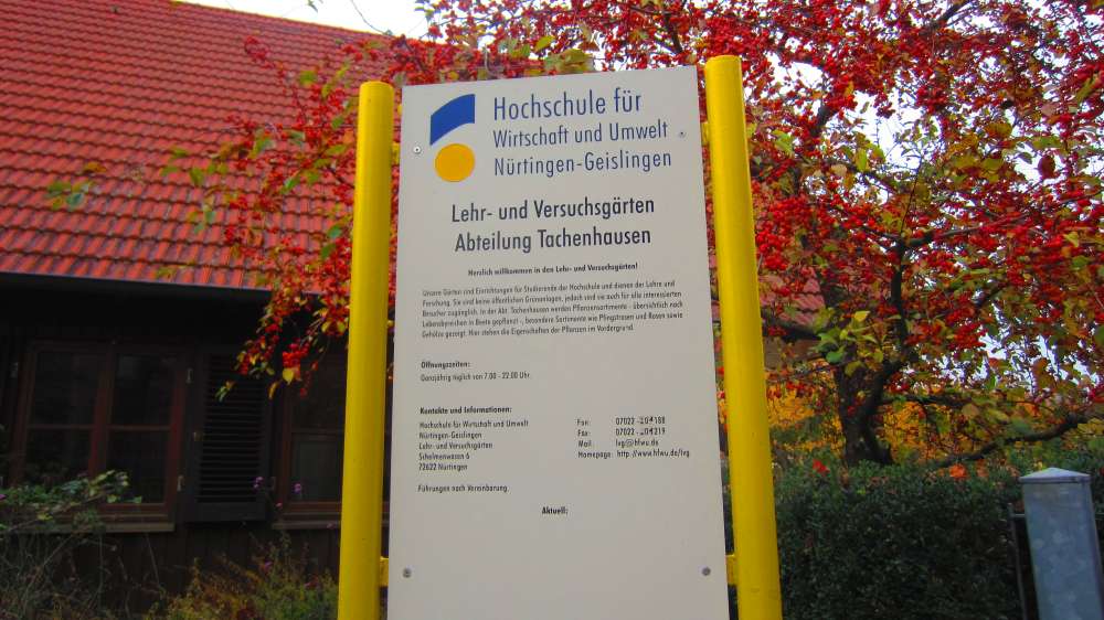 Tachenhausen