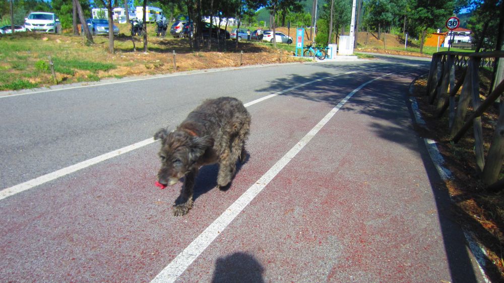 Beni