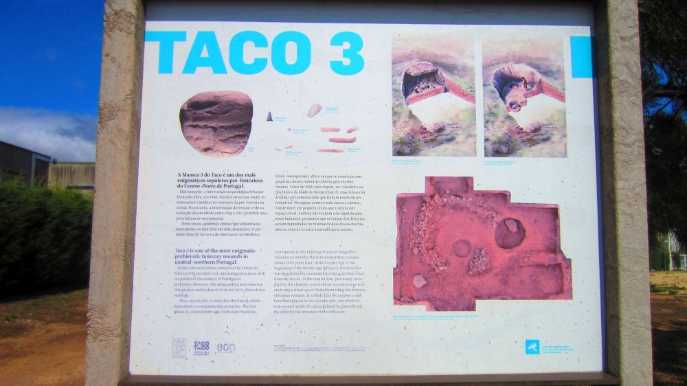 Taco 3, Schild