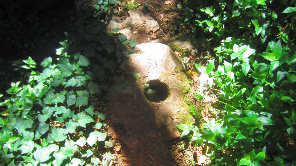 Mhlstein