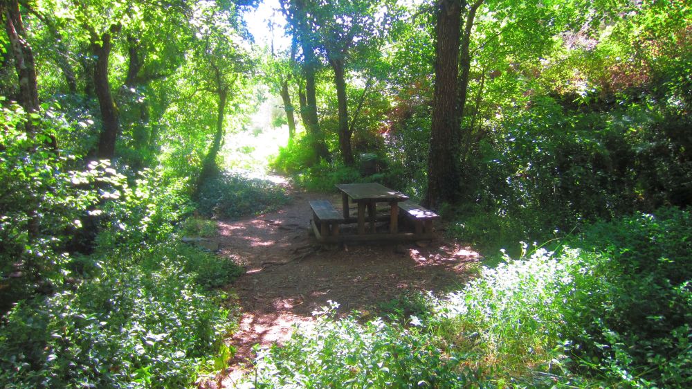 Picknickplatz