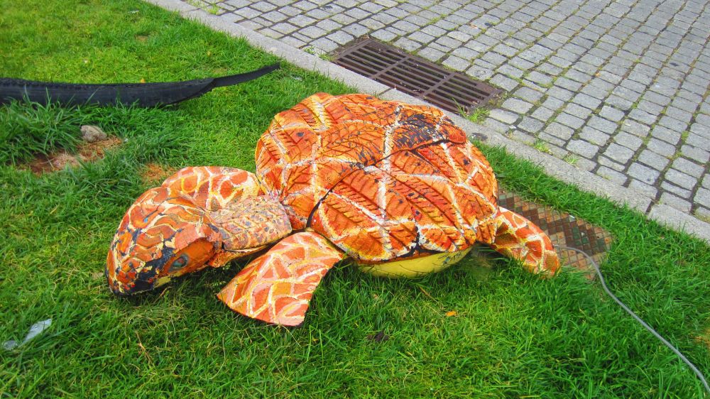 Schildkrte