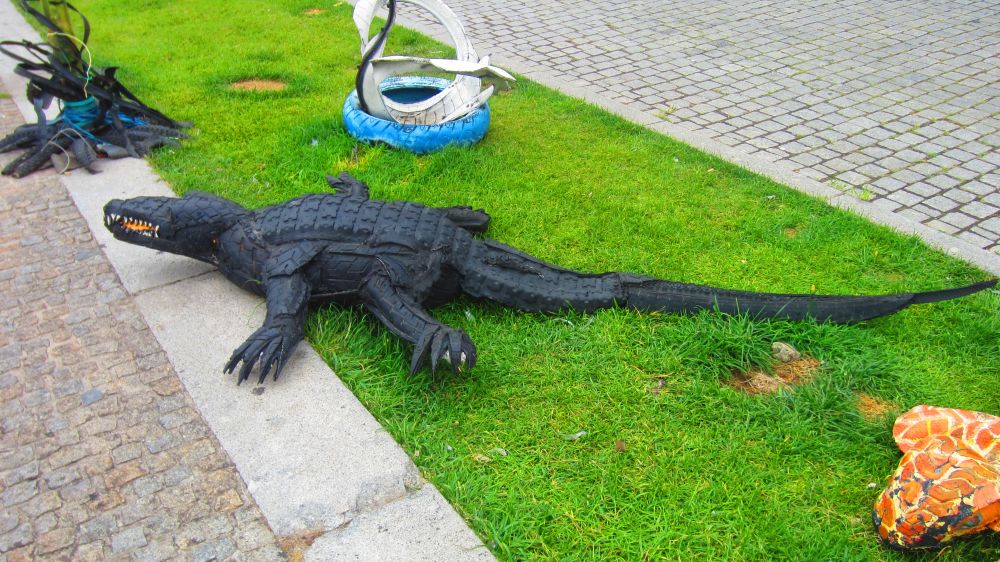 Alligator