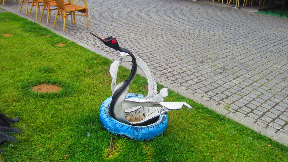 Schwan