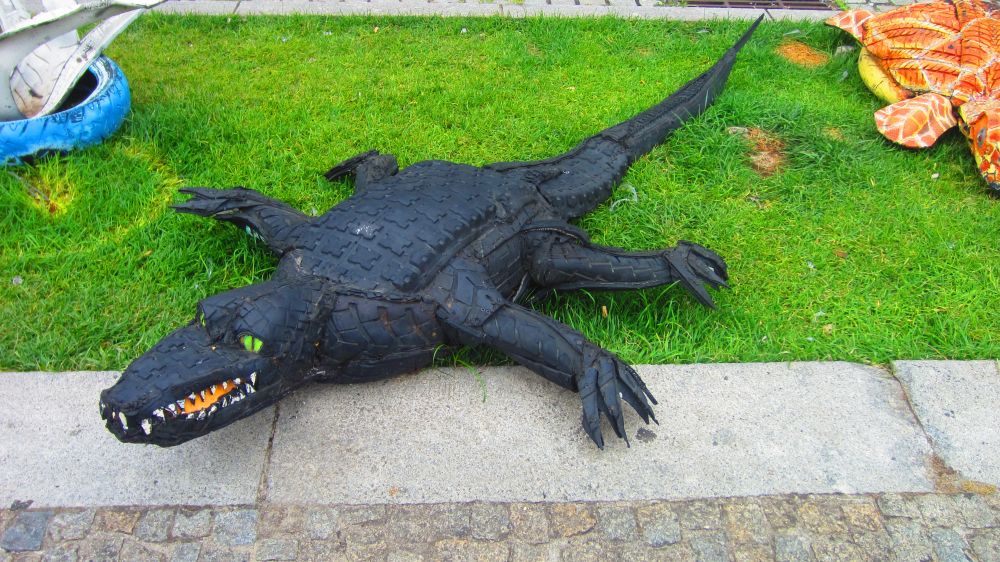 Alligator
