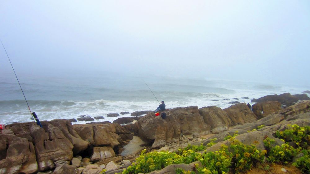Angler