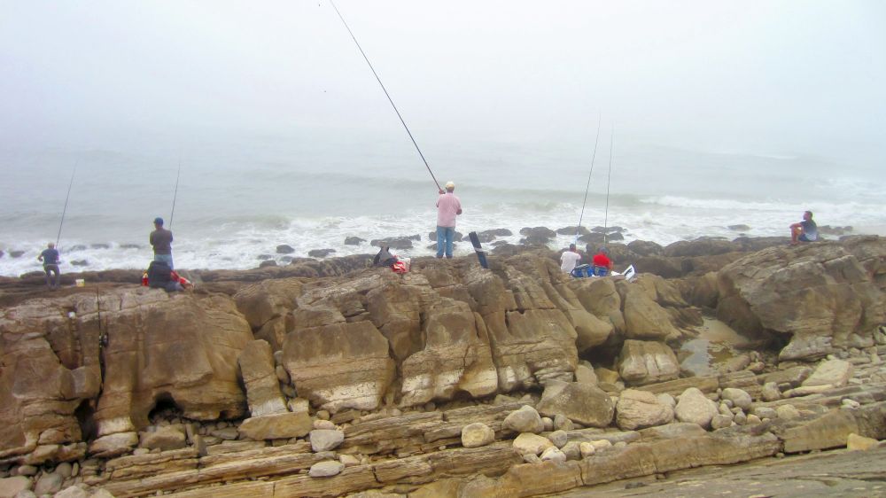 Angler