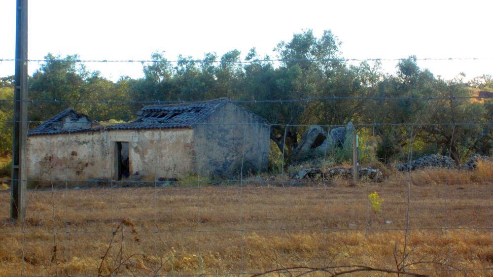 Anta_dos_Coureleiros_4