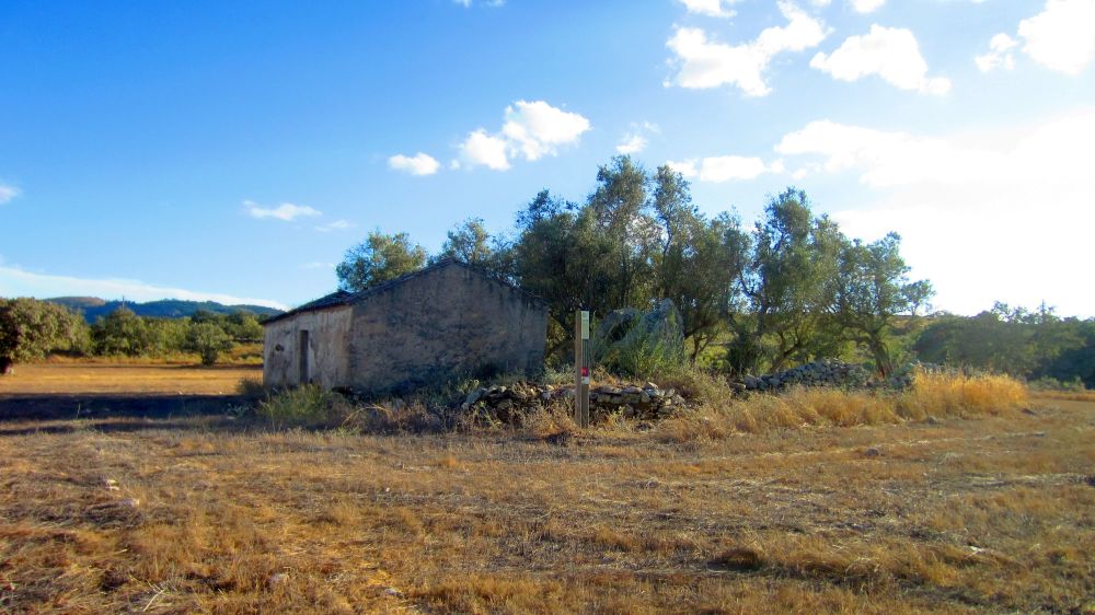 Anta_dos_Coureleiros_4
