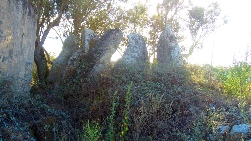 Anta_dos_Coureleiros_4