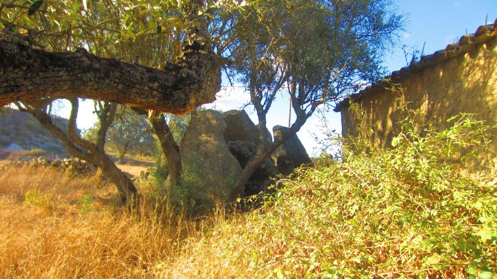 Anta_dos_Coureleiros_4