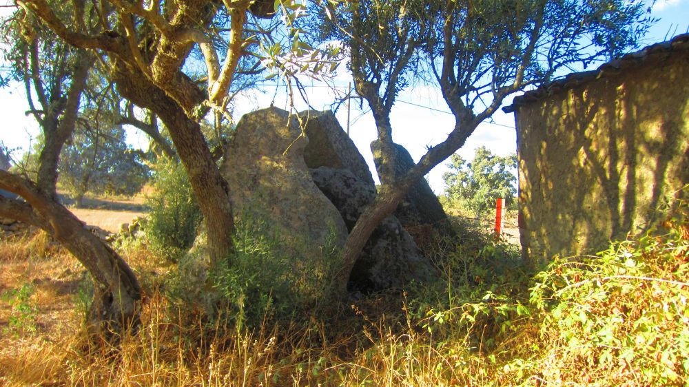 Anta_dos_Coureleiros_4