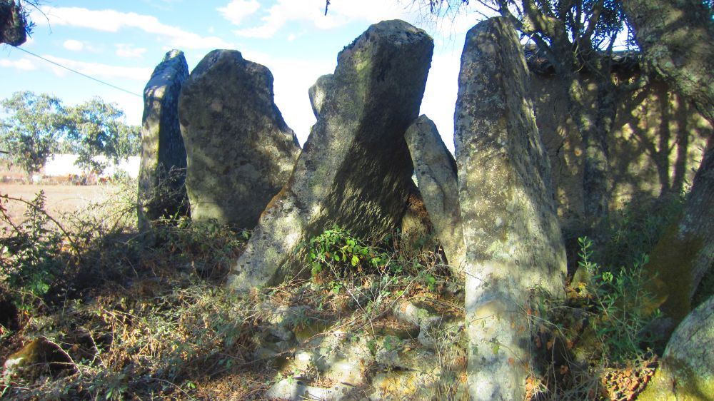 Anta_dos_Coureleiros_4