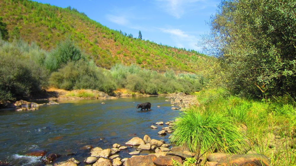 Beni im Zezere