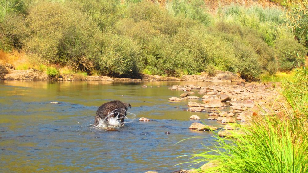 Beni im Zezere