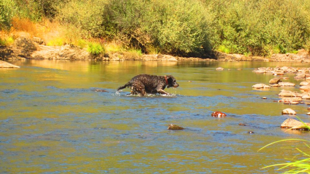 Beni im Zezere