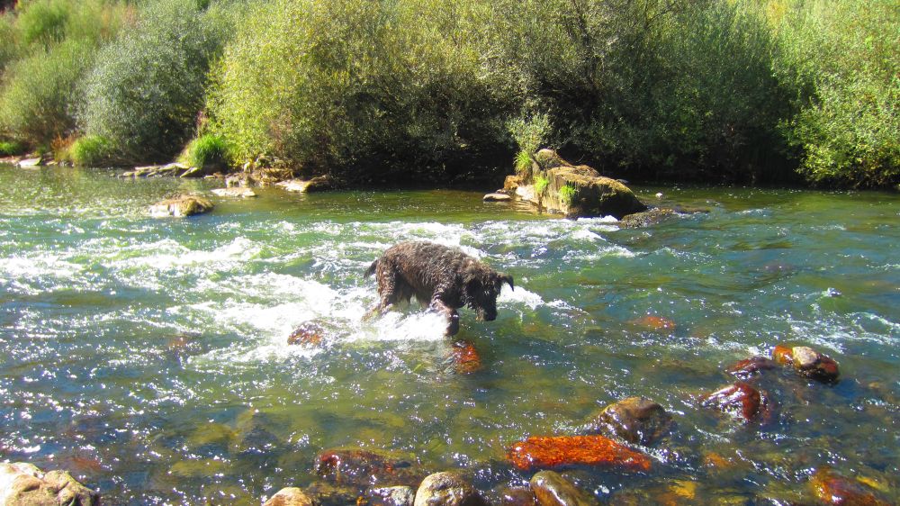 Beni im Zezere