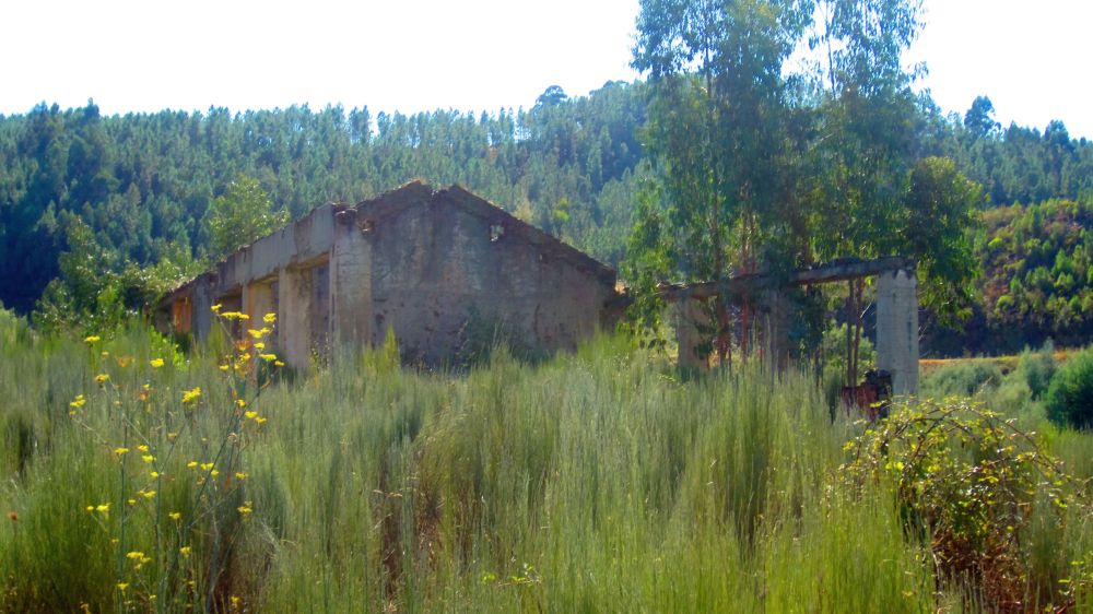 Ruine