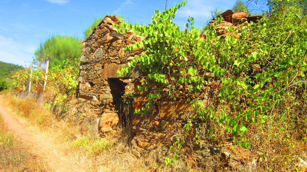 Ruine