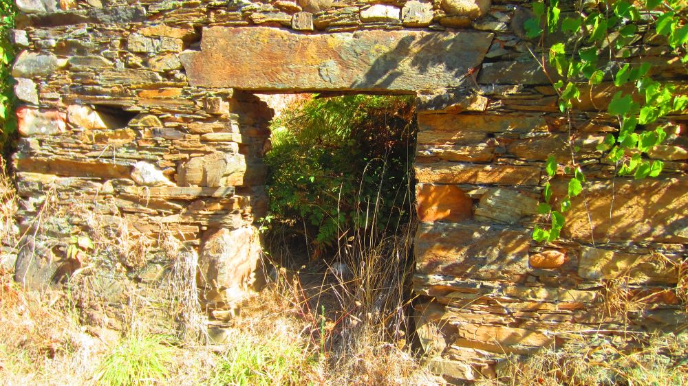 Ruine