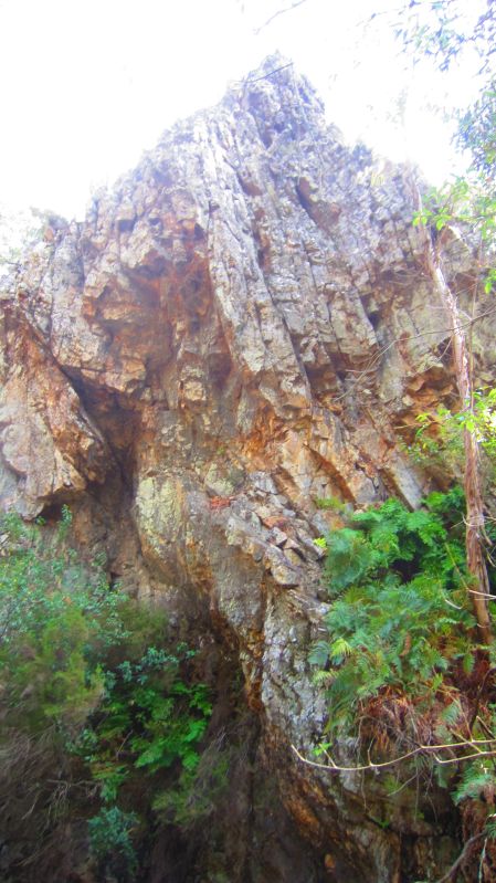 Felsen