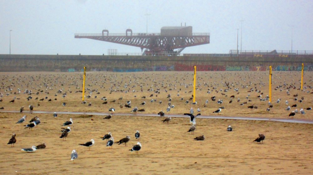 Strand
