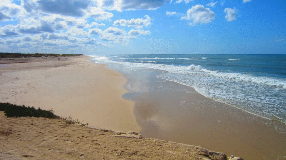 Meer