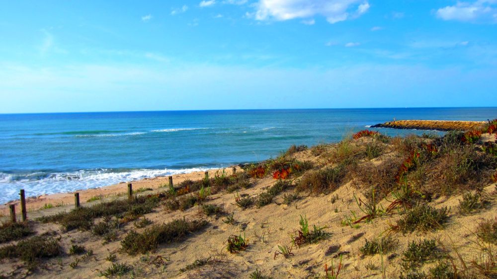 Strand