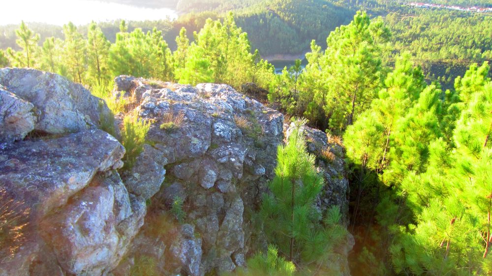 Felsen
