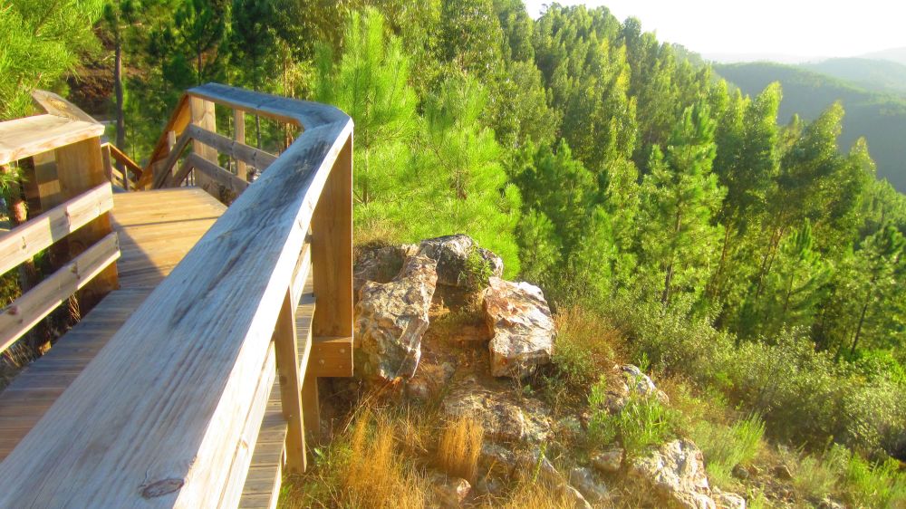 Holzsteg