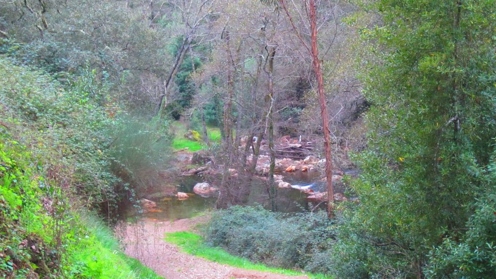 Fluss