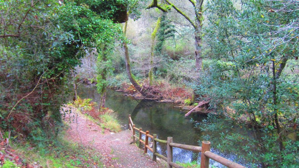 Fluss