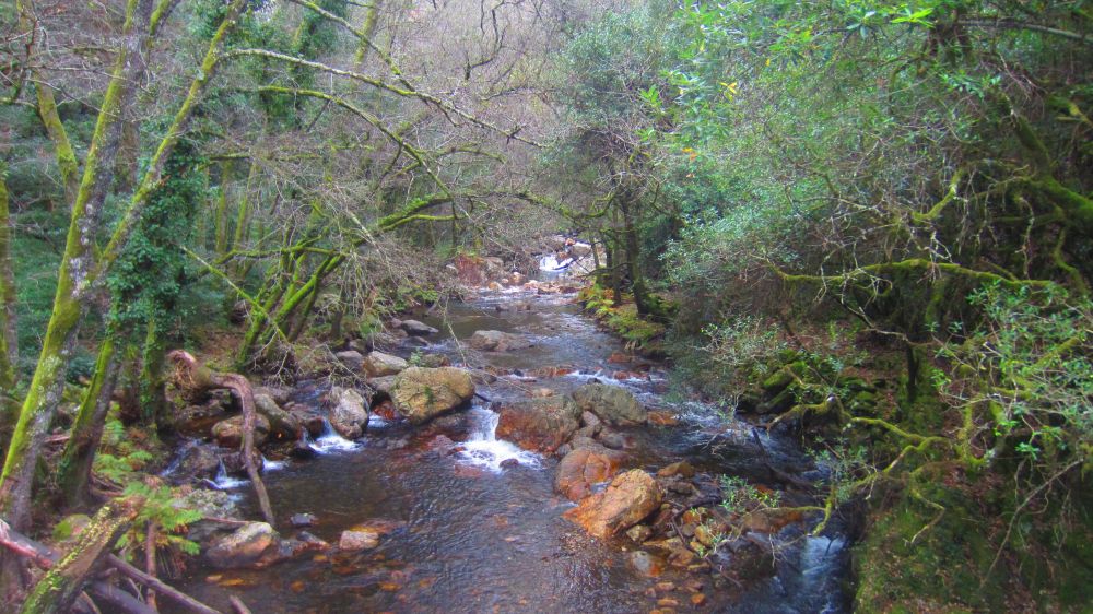 Fluss
