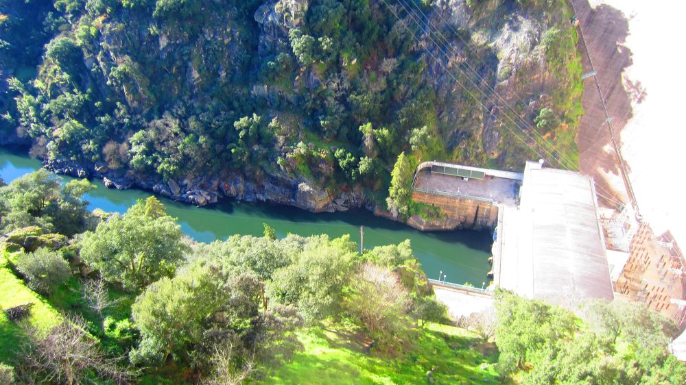 Staumauer