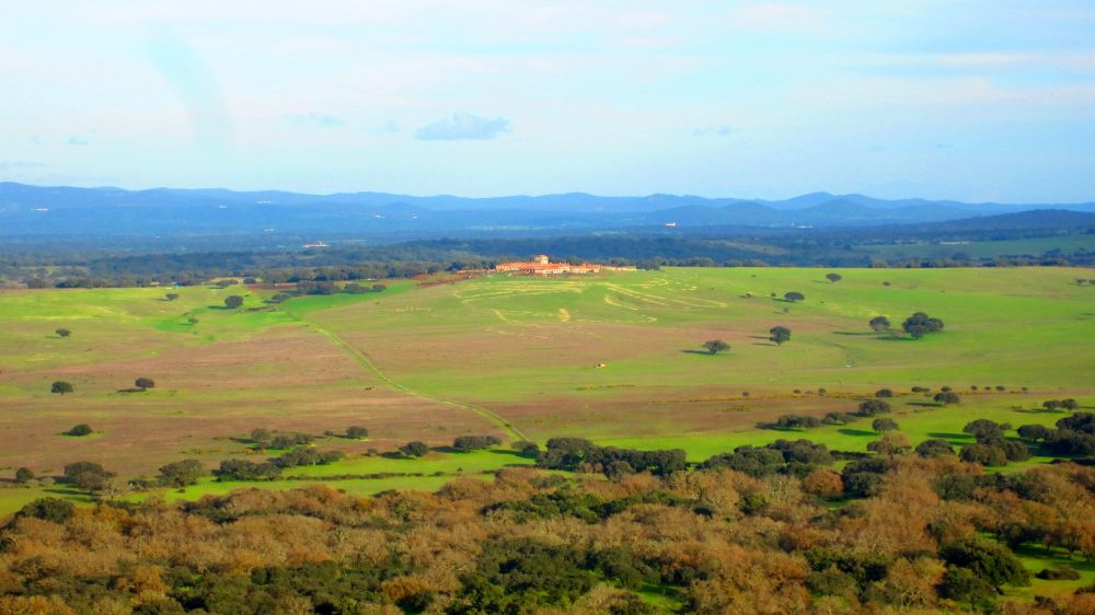 Finca