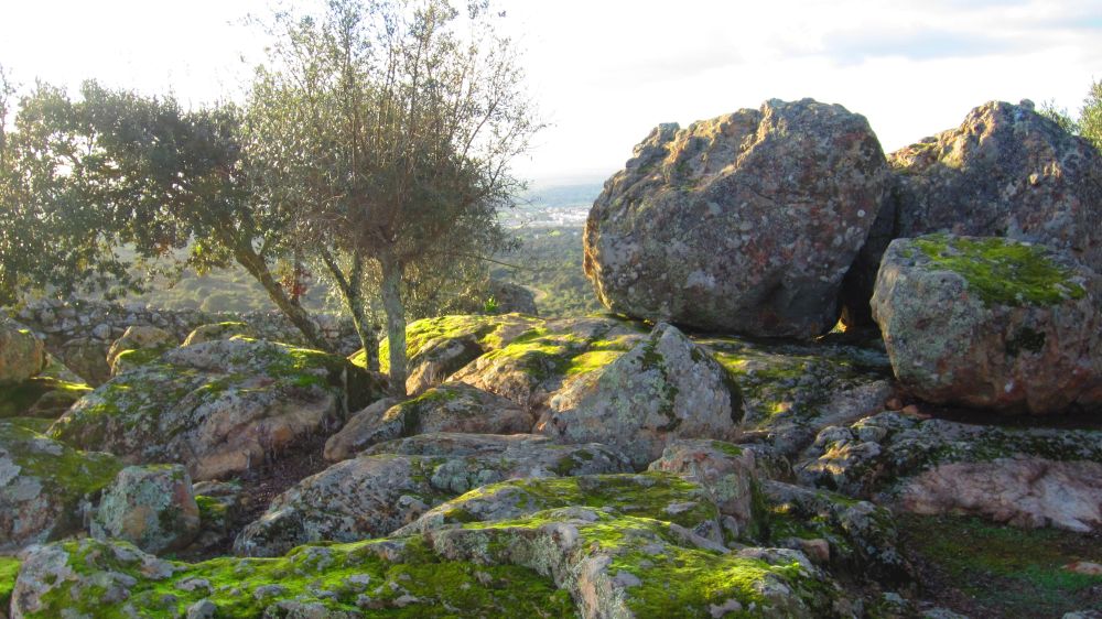Felsen