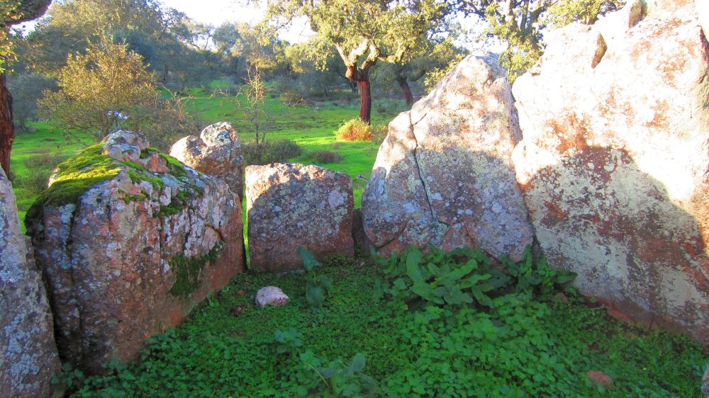 Anta dos Tapadoes