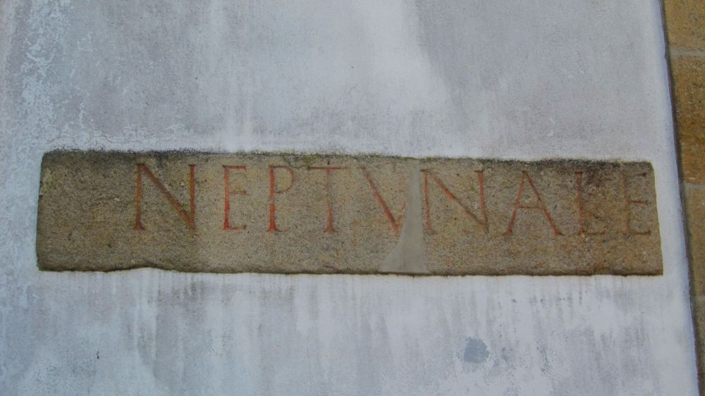 Neptunale