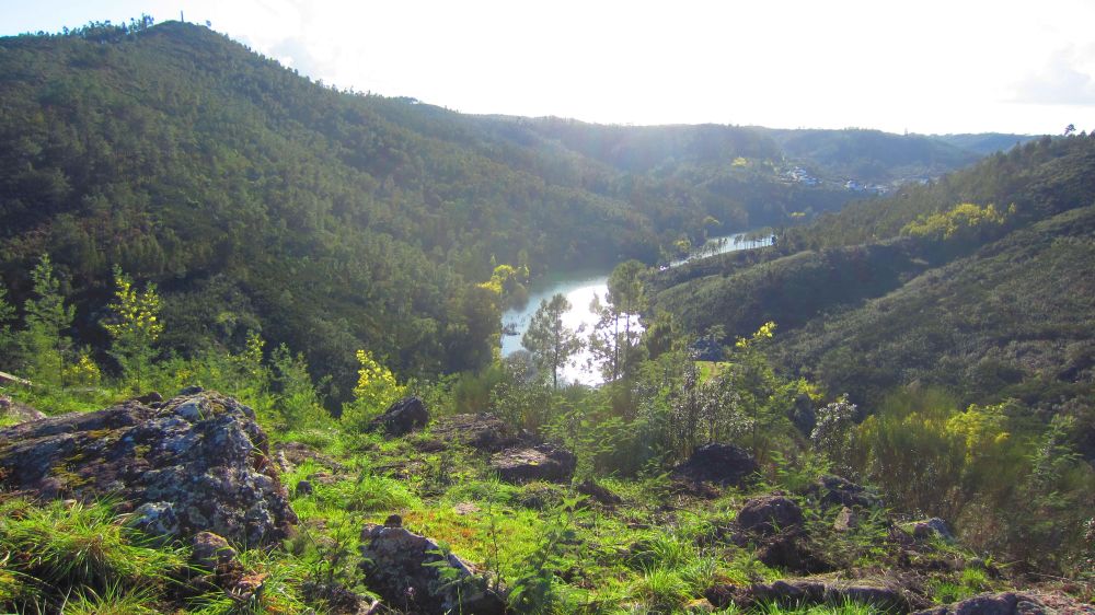 Zezere