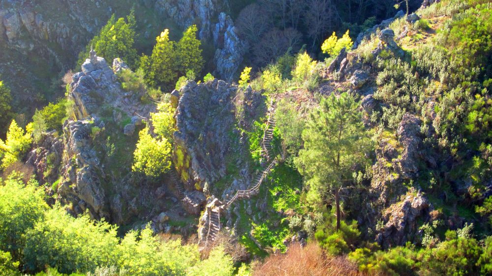 Treppen