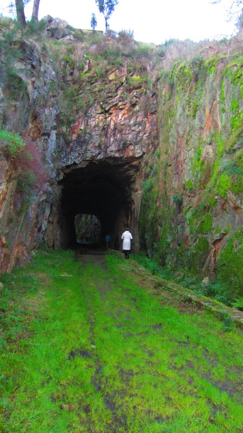 Tunnel