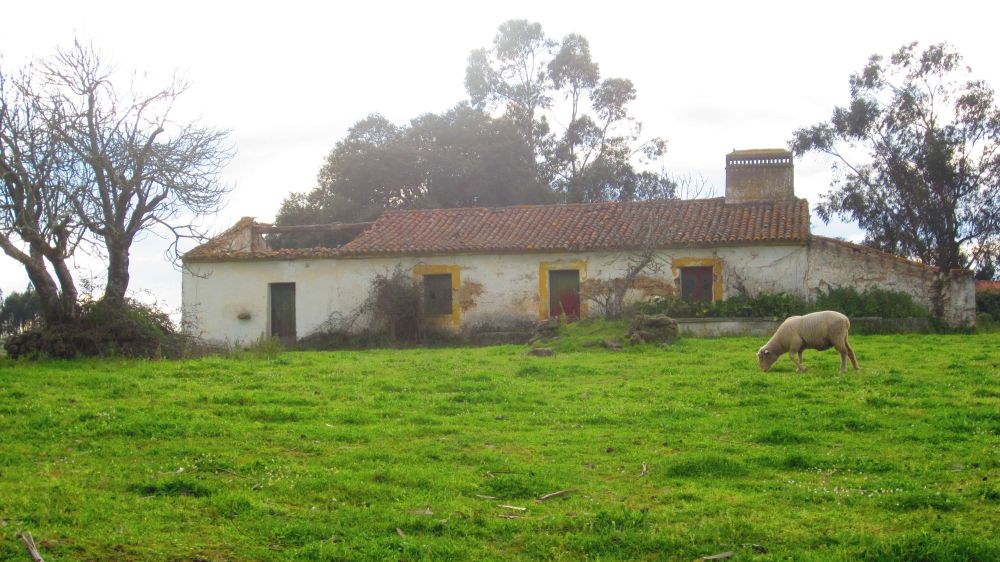 Lost Place