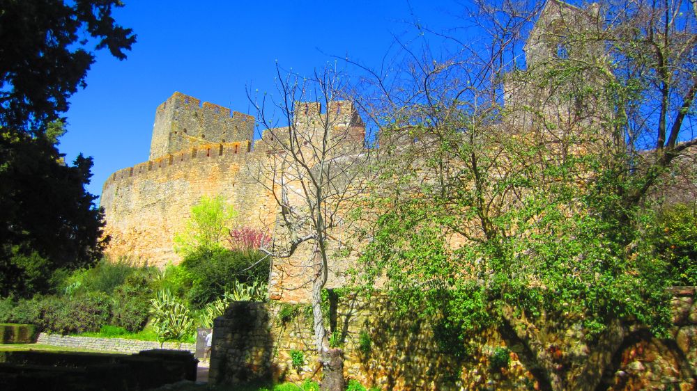 Burg