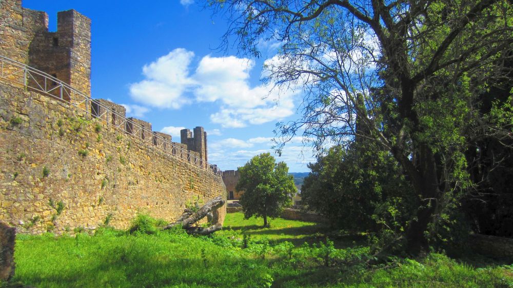Burg