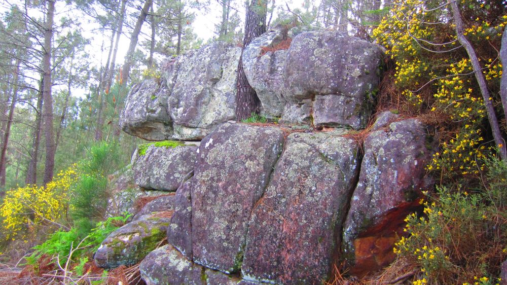 Felsen