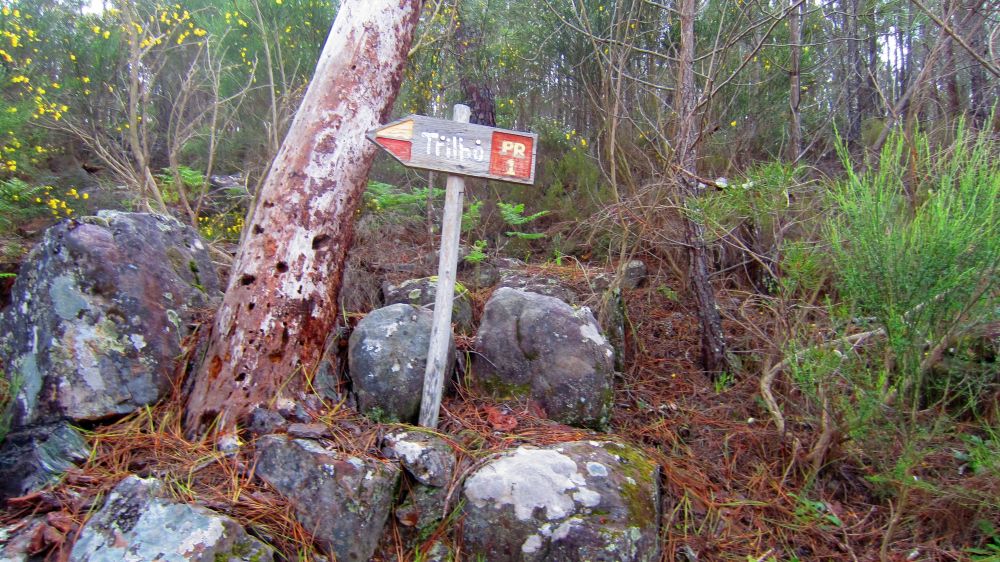 Schild