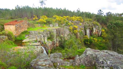 Escalvadouro