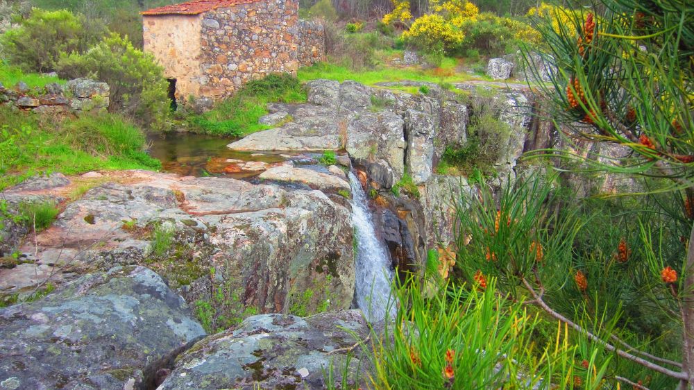 Wasserfall