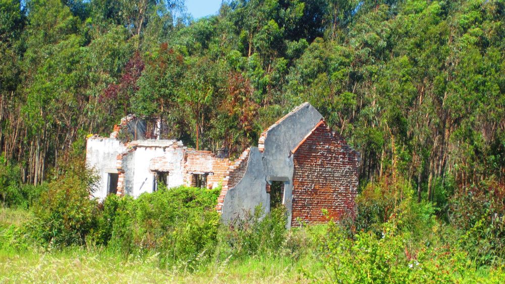 Ruine